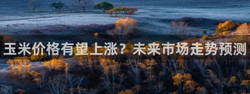 壹号大舞台官网入口