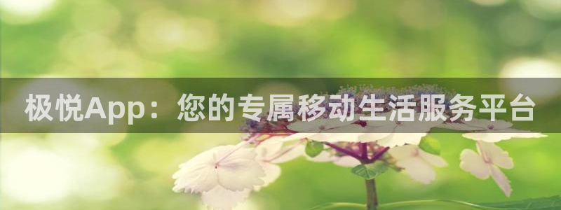 壹号电子娱乐app下载最新版本安装