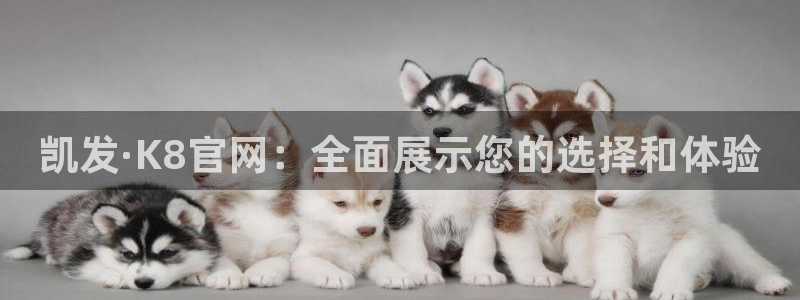 杏宇吧