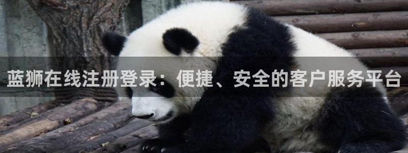 壹号电子娱乐app