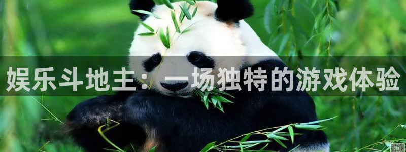 杏宇app下载