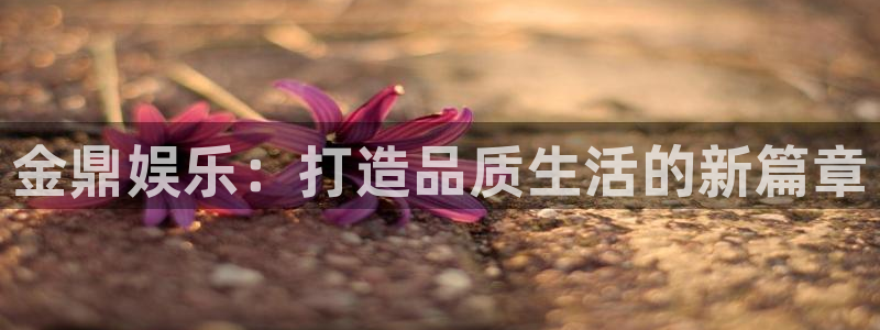 壹号大舞台娱乐app下载安装
