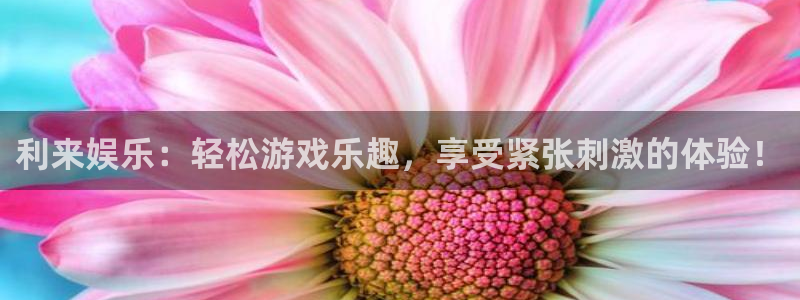 杏宇能退款吗