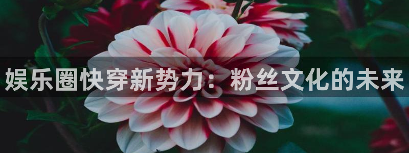 杏宇app下载