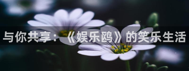 杏宇官方app下载安装