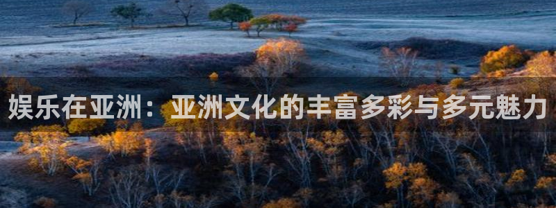壹号电子娱乐app下载最新版本