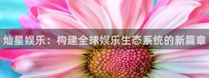 杏宇,apk.1