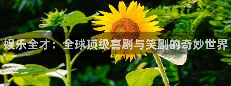 壹号大舞台官网