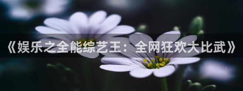 壹号平台下载：《娱乐之全能综艺王：全网狂欢大比武》