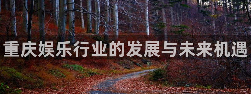杏宇app官网下载苹果：重庆娱乐行业的发展与未来机遇