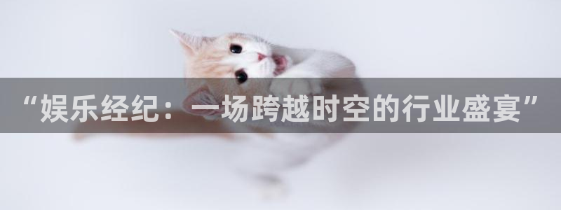 杏宇怎么下载：“娱乐经纪：一场跨越时空的行业盛宴”