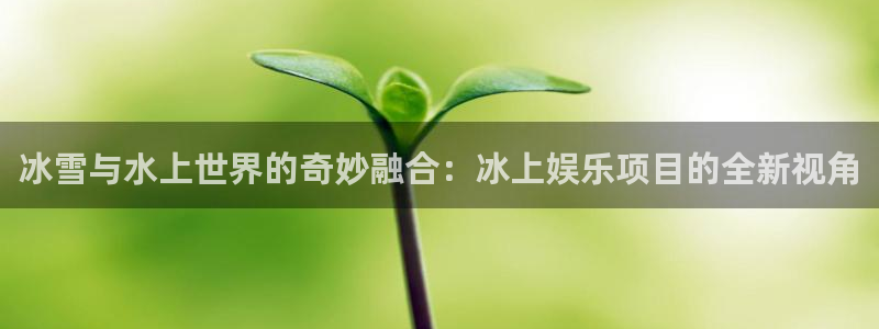 壹号大舞台：冰雪与水上世界的奇妙融合：冰上娱乐项目的全新视角