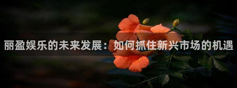 杏宇.com：丽盈娱乐的未来发展：如何抓住新兴市场的机遇