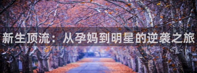 杏宇