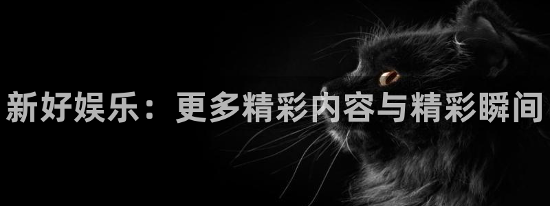 杏宇网站