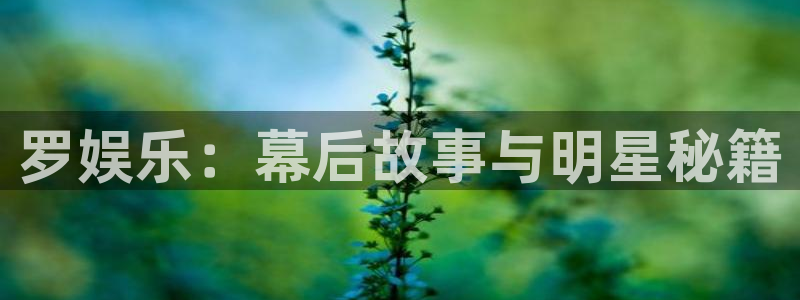 杏宇app下载官网