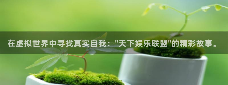 杏宇网站