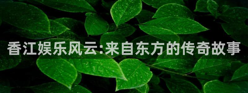 壹号大舞台入口